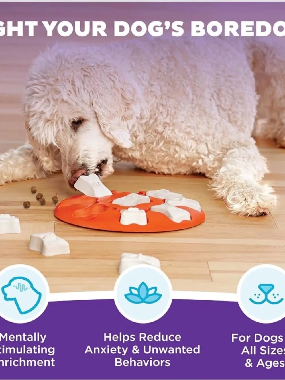 Outward Hound Nina Ottosson Dog Smart Puzzle Interactive Slow Feeder